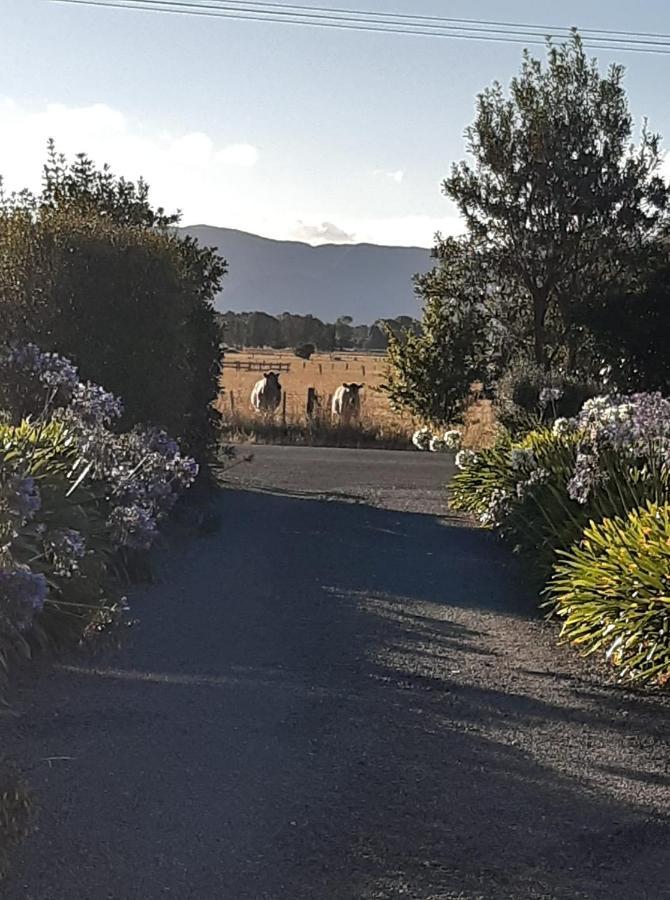 15 On Wards Bed & Breakfast Greytown Bagian luar foto